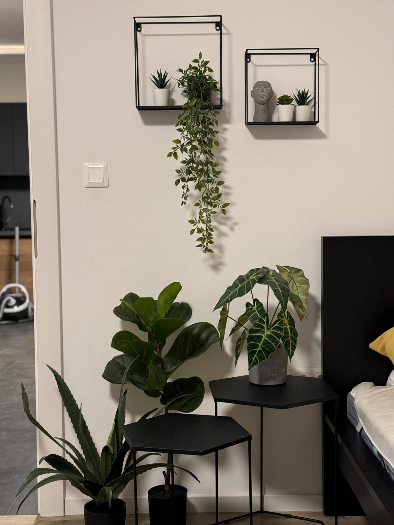Apartmany Elli Myto pod Dumbierom Exterior photo